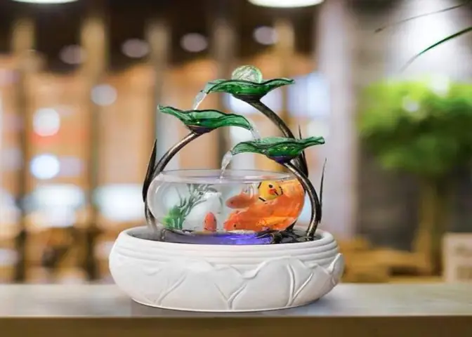 Bể Cá Tròn 3 Lá Sen