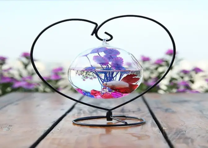 Bể Cá Dạng Treo – 9 Mẫu Bể Cá Mini Tròn Độc Đáo