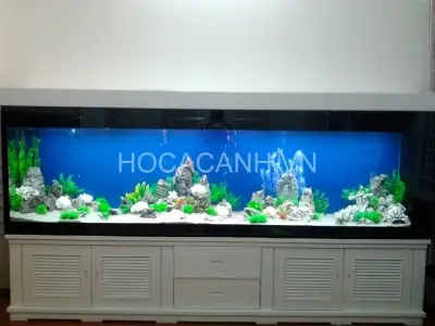Bể Cá Trong Nhà Đẹp