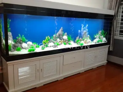 Bể Cá Trong Nhà Đẹp