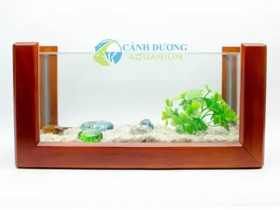 Bể Cá Trong Nhà Đẹp