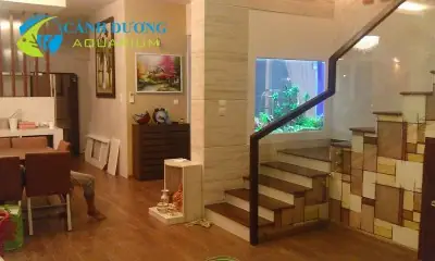 Bể Cá Trong Nhà Có Nhiều Loại Khác Nhau Mỗi Loại Mang Lại Mỗi Vẽ Đẹp Riêng Và Mang Lại Một Điểm Nhấn Hay Là Một Biện Pháp Phong Thủy Hữu Hiệu