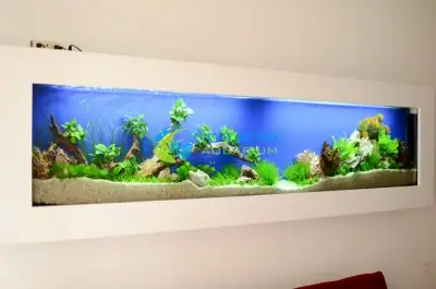 Bể Cá Trong Nhà Đẹp