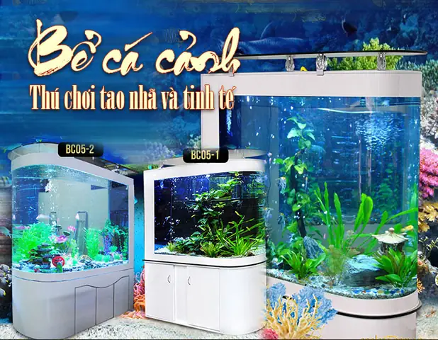 Bể Cá Là Gì?