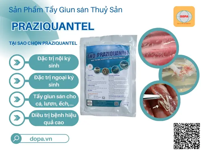 Bệnh Giun Sán Ở Cá