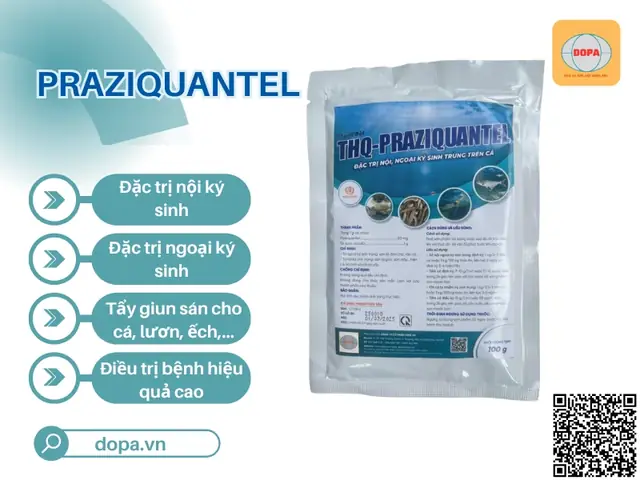 Bệnh Giun Sán Ở Cá