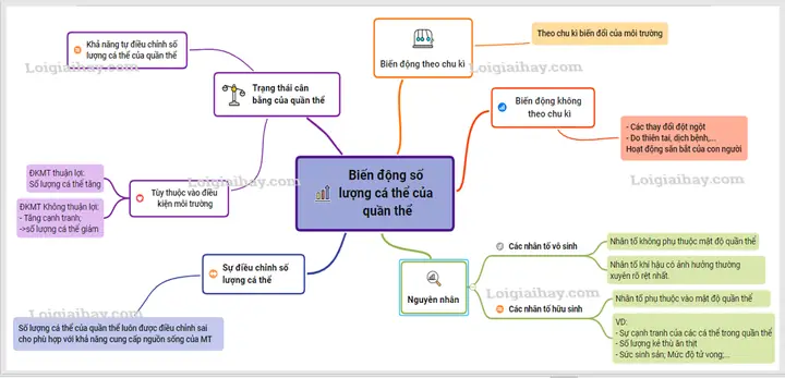 Biến Động Số Lượng Cá Thể Của Quần Thể Biến Động Số Lượng Cá Thể Của Quần Thể