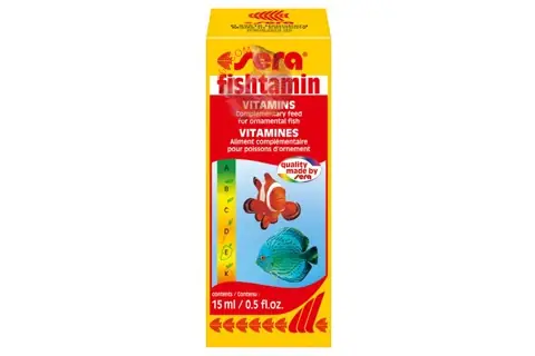 Hướng Dẫn Bổ Sung Vitamin Cho Cá Rồng Đúng Cách: Bí Quyết Cho Sức Khỏe & Màu Sắc Tuyệt Đỉnh