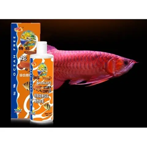 Hướng Dẫn Bổ Sung Vitamin Cho Cá Rồng Đúng Cách: Bí Quyết Cho Sức Khỏe & Màu Sắc Tuyệt Đỉnh