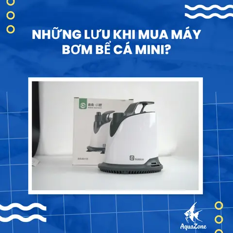 Một Số Lưu Ý Khi Mua Máy Bơm Bể Cá Mini
