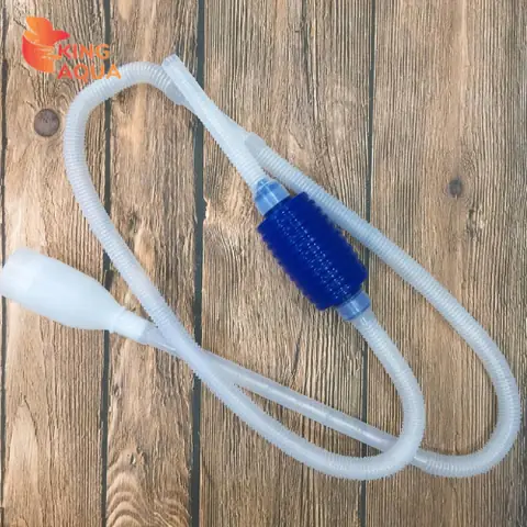 Hướng Dẫn Chi Tiết Cách Bơm Thay Nước Bể Cá: Từ A Đến Z Cho Người Mới Bắt Đầu