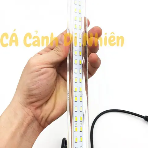 Đèn Led Cho Hồ Bể Cá Rồng 2 Hàng Bóng Xuan Mei Long 100 Cm