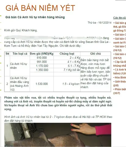 Cá Anh Vũ Giá Bao Nhiêu? Bảng Giá Và Kinh Nghiệm Mua Chuẩn Nhất