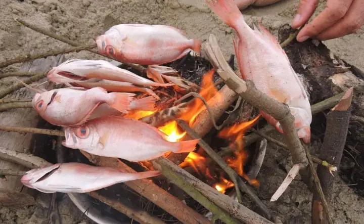 Cá Bã Trầu Nướng Mộc