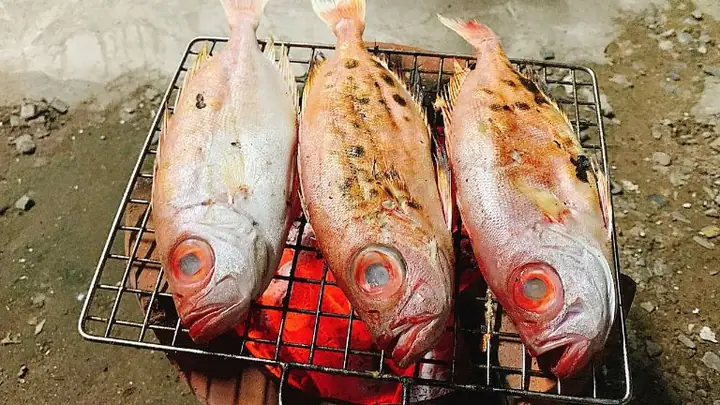 Cá Bã Trầu Nướng Sả