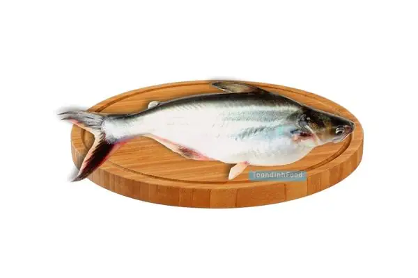 Cá Basa Là Cá Gì?