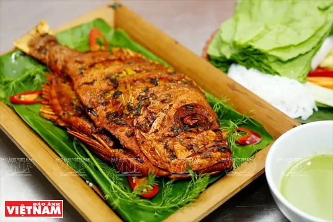 Cá Bảy Trầu Biển: Đặc Điểm, Môi Trường Sống Và Giá Trị Sinh Thái Của Loài Cá Cảnh Phổ Biến