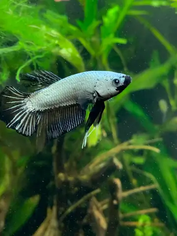 Kiểm Tra Sức Khỏe Định Kỳ