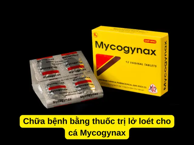 Chữa Bệnh Bằng Thuốc Trị Lở Loét Cho Cá Mycogynax