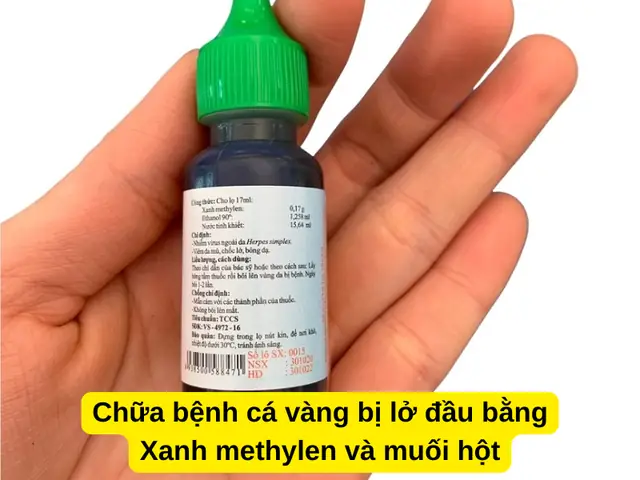 Chữa Bệnh Cá Vàng Bị Lở Đầu Bằng Xanh Methylen Và Muối Hột