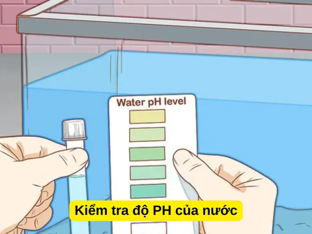 Kiểm Tra Độ Ph Của Nước