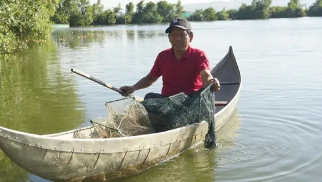 Cá Bơi Giật Lùi: Hiện Tượng Kỳ Lạ Trong Thế Giới Động Vật Và Những Điều Cần Biết