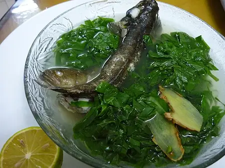 Cá Bống Dừa Ăn Gì Và Cách Nuôi Cá Bống Dừa
