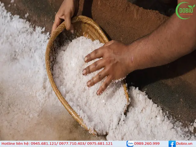 Phương Pháp Nuôi Cá Bóp Ở Nước Ngọt Hiệu Quả, Đem Lại Thu Nhập Cao