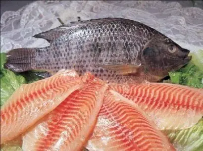 Thành Phần Dinh Dưỡng Của Cá Rô Phi