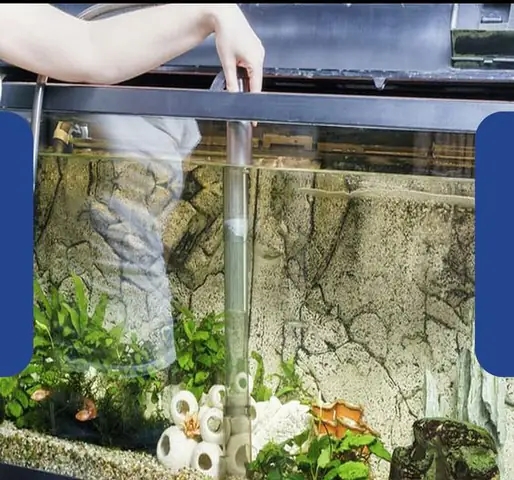 Thay Nước Và Dọn Bể