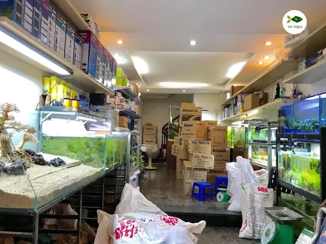 Cửa Hàng Cá Cảnh Thủy Sinh Hoàng Gia