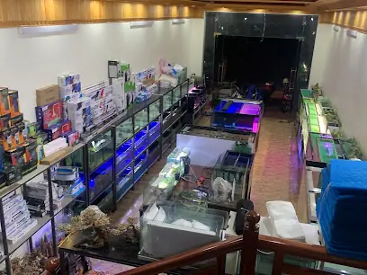 Cá Cảnh Bắc Giang