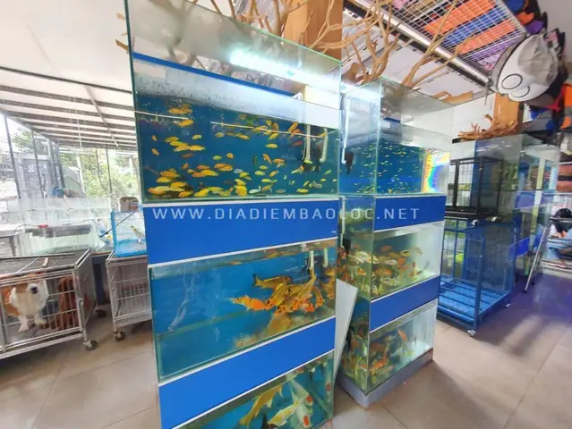 Rio Petshop Rio Petshop