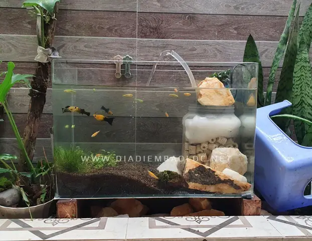 Rio Petshop