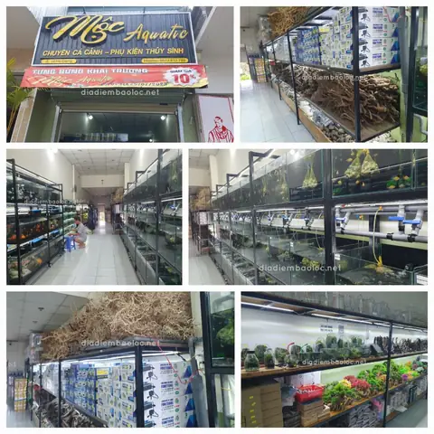 Mộc Aquatic Mộc Aquatic