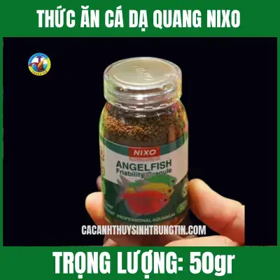 Dấu Hiệu Nhận Biết Cá Cánh Buồm Mất Màu