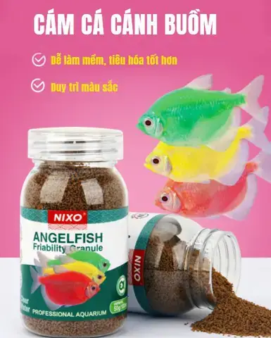 Giới Thiệu Chung Về Cá Cánh Buồm (sailfin Tetra)