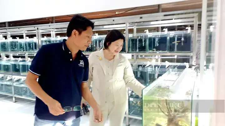 Khám Phá Các Trại Cá Cảnh Củ Chi Nổi Bật
