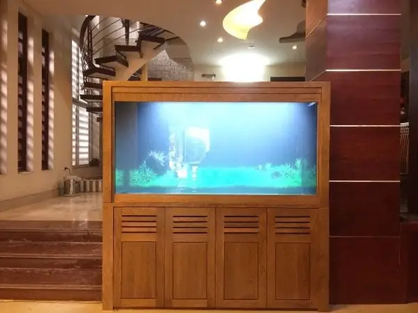 Hình Ảnh Thực Tế Bể Cá Thuỷ Sinh Cho Khách Hàng Tại Đông Anh