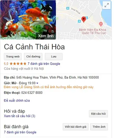 Cá Cảnh Hoàng Hoa Thám: Hướng Dẫn Chi Tiết Từ A-z Để Chọn Mua & Chăm Sóc Bể Cá Cảnh Chuyên Nghiệp
