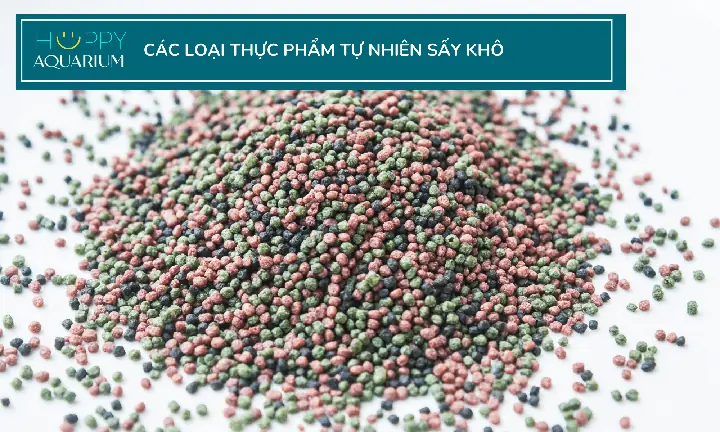 Các Loại Thức Ăn Tốt Nhất Cho Cá Cảnh Là Gì?