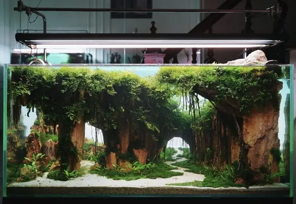 Sun Aquarium