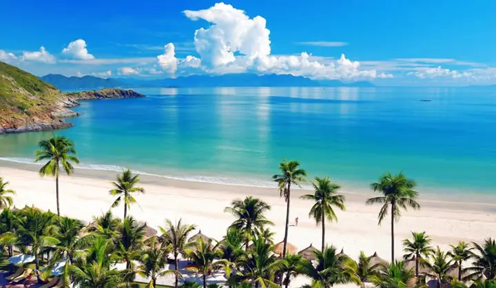 Top 7 Cửa Hàng Cá Cảnh Tại Nha Trang