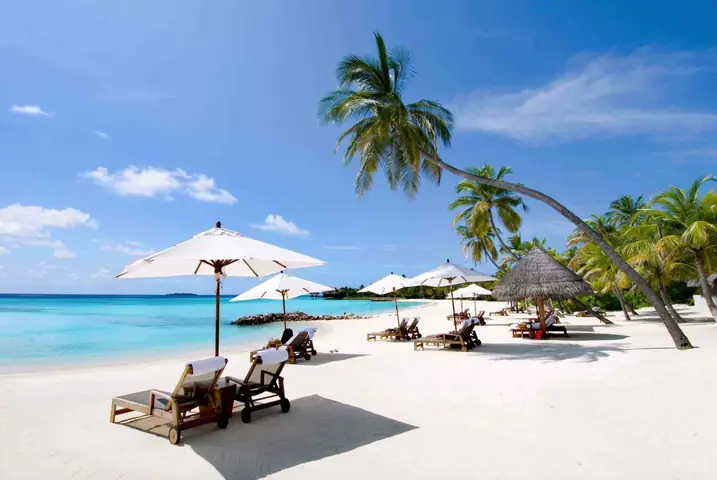 Giới Thiệu 7 Cửa Hàng Cá Cảnh Đáng Ghé Thăm Nhất Nha Trang