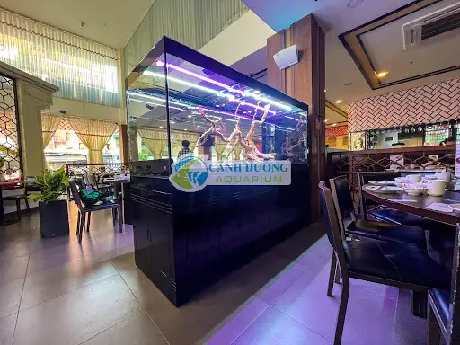 Câu Hỏi Thường Gặp Về Cá Cảnh Quận 4