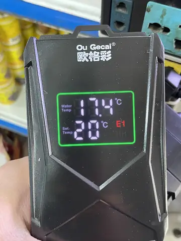 Cá Cảnh Quận 6