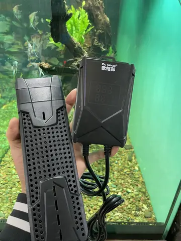 Cá Cảnh Quận 6