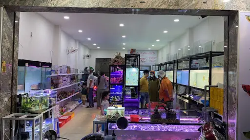 Cá Cảnh Nam Sài Gòn | Tiệm Cá Cảnh Gần Đây | Tiệm Cá Cảnh Quận 7 | Phụ Kiện Cá Cảnh Tphcm