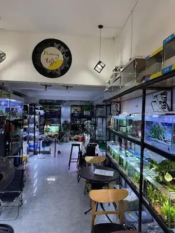 Thị Trường Cá Cảnh Quận 8: Tổng Quan Và Đặc Điểm Nổi Bật
