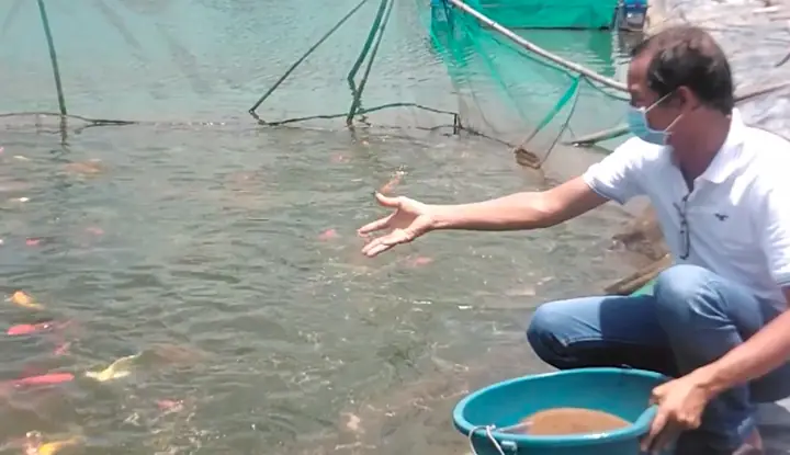 Có Một 'vua' Cá Cảnh Ở Tp.tân An Có Một 'vua' Cá Cảnh Ở Tp.tân An